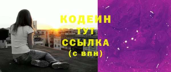 ПСИЛОЦИБИНОВЫЕ ГРИБЫ Кулебаки